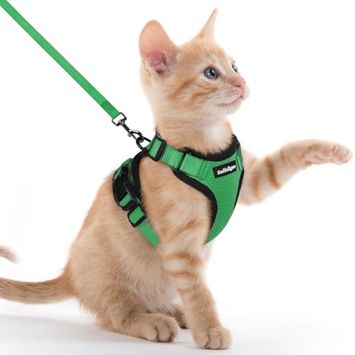 rabbitgoo Cat Harness and Leash Set, Escape Proof Vest, Grass Green | Soft Breathable Mesh, Easy Adjustable Fit, Snap Buckles, Sturdy Clip, Reflective Strips, for Kittens & Small Cats Walks, Xxs - color: Grass Green, size: Xxs