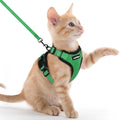 rabbitgoo Cat Harness and Leash Set, Escape Proof Vest, Grass Green | Soft Breathable Mesh, Easy Adjustable Fit, Snap Buckles, Sturdy Clip, Reflective Strips, for Kittens & Small Cats Walks, Xxs - color: Grass Green, size: Xxs