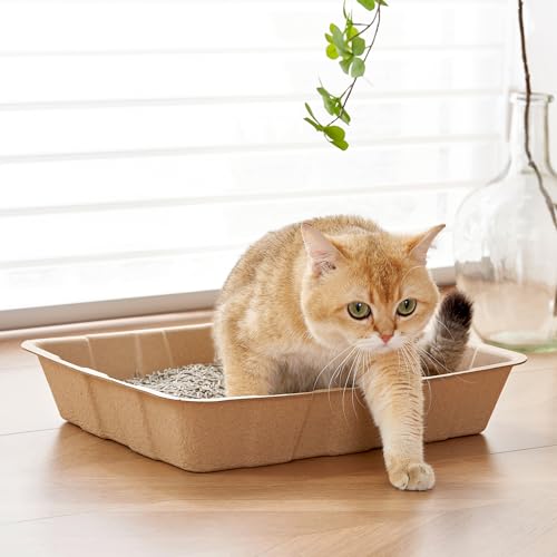 Vealind Disposable Litter Boxes for Cats Cardboard Cat Litter Trays Cat Travel Toilet Litter Pan Liners Kitty and Small Animals Leakproof Litter Box (10 Pack) - color: 10 PACK