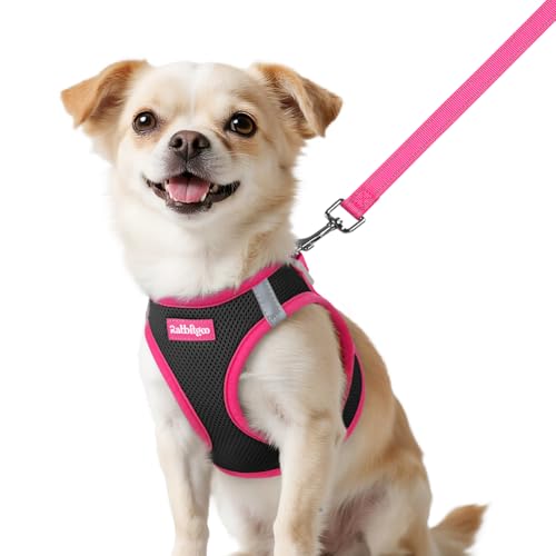 rabbitgoo Dog Harness Small Sized and Leash Set, Step in Soft Vest | Breathable Mesh, Easy Wear with Hook & Loop, Light and Reflective for Walking, Multi-colored, Black & Rose Red, XXS - color: Black & Rose Red, size: XXS (Chest: 12.4"-14.2")