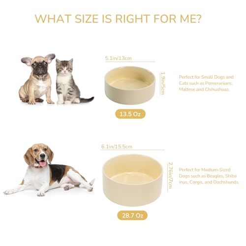 SPUNKYJUNKY 13.5OZ Ceramic Dog and Cat Bowl, Modern Cute Weighted Food Water Bowl for Replacement Beige (1 Pack) - color: Beige, size: 1.7 CUPS