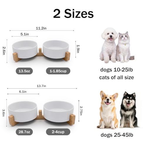 MateeyLife Ceramic Dog and Cat Bowls with Stand, 2-Pack Food and Water Bowl Set - Non-Slip Pet Bowls for Small & Medium Size Dogs，28.7OZ(White) - color: White, size: M-3Cup