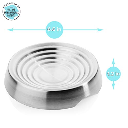 CatGuru Cat Bowls, Whisker Friendly Food Bowl for Indoor Cats, Reliefs Whisker Fatigue, Wide Kitten Dish, Non Slip Pet Dishes, Shallow Pet Plates (Stainless Steel) - color: Stainless Steel, size: Dish
