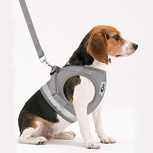 Cat Harnesses and Puppy Harness with Leashes Set, Escape Proof Cat Harness, Adjustable Reflective Soft Mesh Vest Fit Puppy Kitten Rabbit Ferrets's Outdoor Harness - color: Grey, size: S (Chest: 9" - 11")