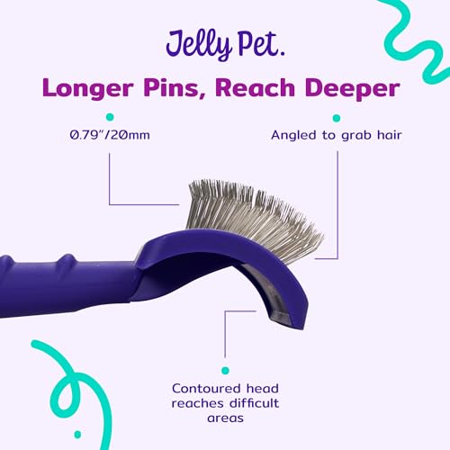Jelly Pet Universal Slicker Brush for Dogs, Dog Grooming Brush, Remove Tangles and Dead Undercoat, Tuffer Than Tangles Maltese Shi-Tzu Poodle Bichon, Soft Pins, Purple, Small - color: Purple, size: Small (2.5 in x 4 in) - Pins (Soft)