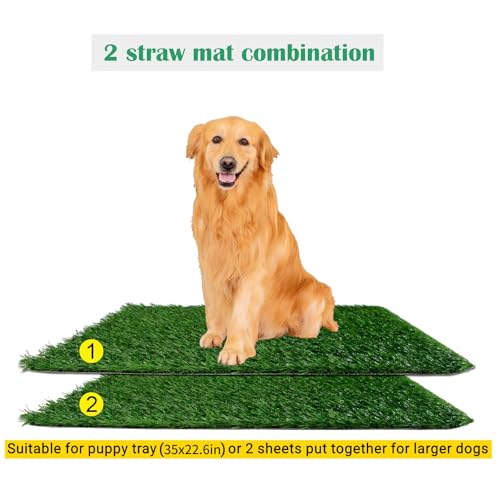 Dog Grass Pee Pad for Training, 33"x 20.6" Reusable Washable Replacement Artificial Grass for Potty Tray, Indoor/Outdoor Turf Grass, Realistic Fake Grass for Dogs (Pack of 2) - size: 33×20.6 Inch(Pack of 2)
