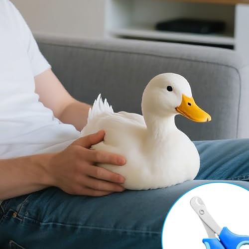 Call Duck Nail Clippers with Nail File，Stainless Steel Call Duck Chicken Hen Roster Goose Toe Nail Clippers Professional Grooming Pet Tool for Small Breed Animals