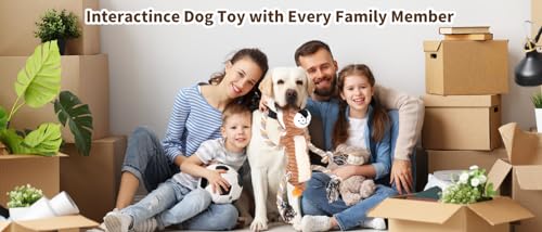 Squeaky Dog Toys Interactive Durable Rope-Infused Lion Shape Puppy Chew Toys for Small, Medium and Big Dogs - style: Lion Shape