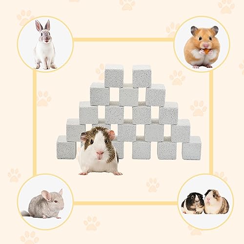 PINVNBY 20 Pcs Lava Blocks for Rabbits,Chinchillas Lava Block Hamster Mineral Stone Small Animals Square Calcium Stones Teeth Pumice Grinding Chews Toy for Bunny Hamsters Chinchilla Guinea Pig - size: 【20 PCS】