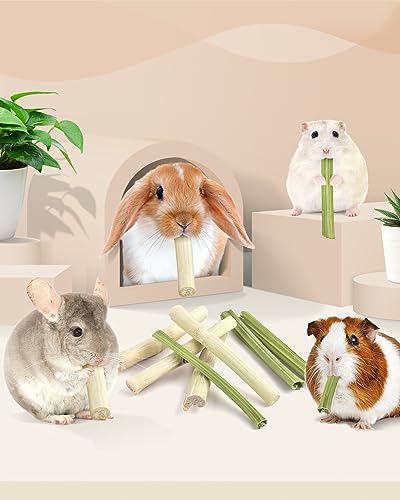 Bissap 80PCS Rabbit Chew Sticks, 40PCS Sweet Bamboo Chew Sticks & 40PCS Papaya Stems Bunny Chews for Rabbit Hamster Chinchilla Guinea Pig Small Animals Natural Molar Treats - size: 80 Count