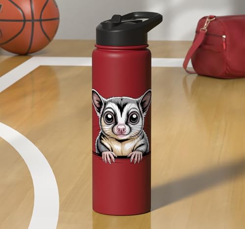 Sugar Glider Cute Peeking Marsupial Funny Animals Stainless Steel Insulated Water Bottle - color: Red