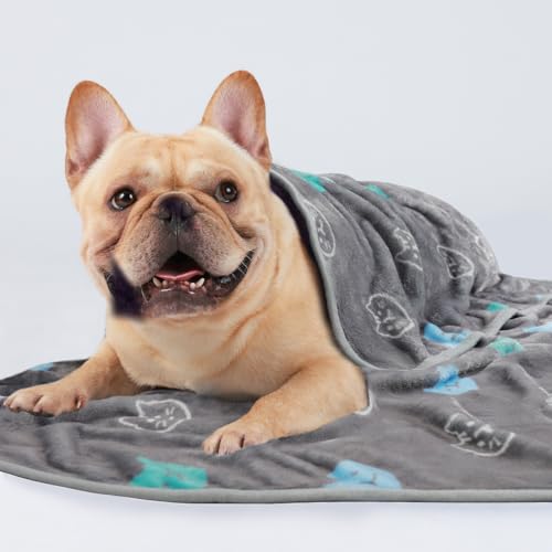 1 Pack 3 Blankets Super Soft Fluffy Premium Cute Cat Pattern Pet Blanket Flannel Throw for Dog Puppy Kitten Blue/Cyan/Grey Small(23x16 inch) - color: Blue/Cyan/Grey, size: 23x16 inch (Pack of 3)