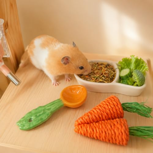 4 Pcs Cute Divided Ceramic Food Bowl and Food Scoop, 2 Chew Toy for Teeth, for Dwarf Syrian Hamsters Gerbils Mouse Degus or Other Similar-Sized Small Pets