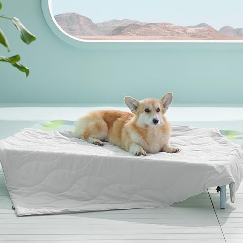 Bedsure ArcticMax™ Q-MAX>0.5 Premium Cooling Blanket for Large Dogs，40x50” | Breathable Summer Washable Throw, Dog Blanket Cooling Mat Pad, Soft Durable Cold Self Cooling Pet Mat for Hot Weather，Grey - color: Pearl Grey, size: L(40x50")