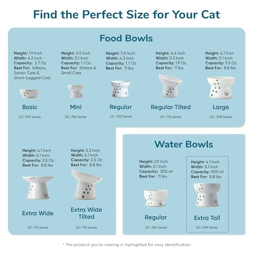 Necoichi Ceramic Elevated Cat Water Bowl, Whisker-Friendly (Cat, Regular) - color: Sakura, size: Extra Tall