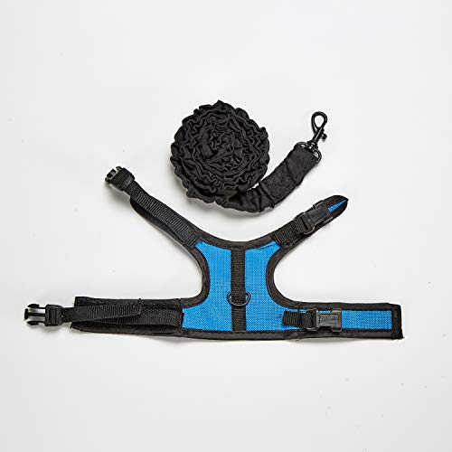 Kaytee Comfort Harness and Stretch Leash, Small | Safer walks and healthy exercise. Small-animal leash and harness. Velcro straps, e-z snap buckle, 4-ft harness leash - size: Small