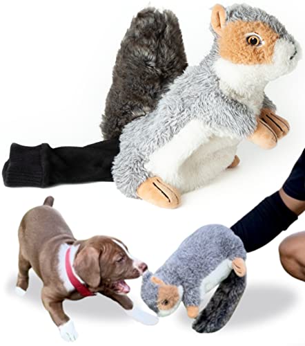 Milunova Pupr Pals Dog Toy Puppet with Tough Padding for Safe Interactive Play, Protection to Stop Puppy Biting Hands; for Boredom-Busting Training and Exercise - style: Nutjob