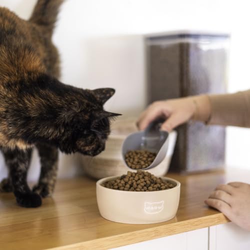 Pearhead Ceramic Cat Bowl, Holds 12 oz, Taupe Meow Design - color: Taupe "Meow", size: Single Bowl