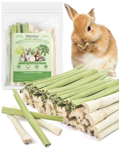 Bissap 80PCS Rabbit Chew Sticks, 40PCS Sweet Bamboo Chew Sticks & 40PCS Papaya Stems Bunny Chews for Rabbit Hamster Chinchilla Guinea Pig Small Animals Natural Molar Treats - size: 80 Count