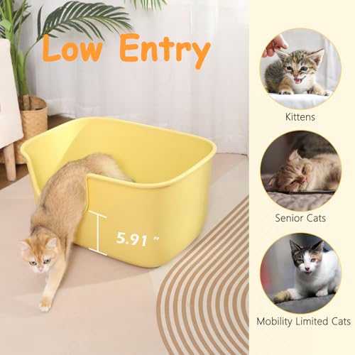 SpaceTime Extra Large Litter Box with High Sides & Low Entry,XL Anti-Splashing Kitty Litter Pan,Jumbo Multi Cat Litter Box,Tool-Free Assembly,Easy to Clean (Grey) - color: Pure Grey