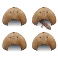 PINVNBY 4 PCS Natural Coconut Reptile Hideouts Lizard Coco Hut Hermit Crab Hut Aquarium Fish Hide Cave Spider Snail Climber Toys - size: 4 PCS Smooth Surface