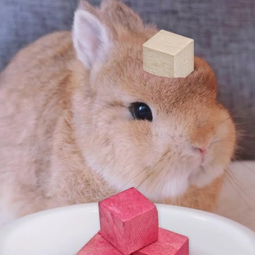 Fruit-Infused Balsa Wood Chew Toys, 16PCS Strawberry Orange and Pitaya Molar Blocks for Rabbits, Guinea Pigs and Chinchillas, 1.6 Inch Large Natural Small Animal Teeth Grinding Treats