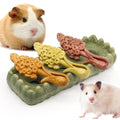 TEEWY 4PCS Guinea Pig Chew Toys, Prevent Teeth Overgrowth, Natural Timothy Grass & Vegetables, Hamster Toys, Guinea Pig Toys, Chinchilla Toys, Grass Patch & Hyacinth - style: 4PCS-Grass Patch & Hyacinth