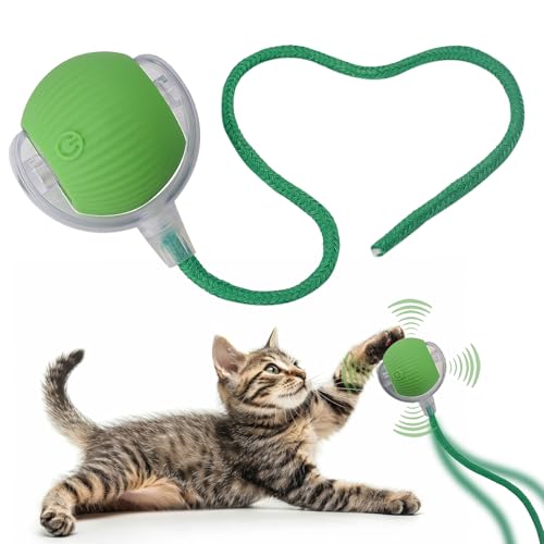 Interactive Cat Dog Toy Ball with LED Light, Automatic Rolling(Green) | String Tail and LED Light Design, Motion Activated, Suitable for Interactive Indoor Pet Play and Exercise - color: Green