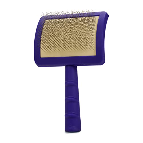 Jelly Pet Universal Slicker Brush for Dogs, Dog Grooming Brush, Remove Tangles/Dead Undercoat, Tuffer Than Tangles, Doodle Huskie Sheep Dog Golden Retriever German Shepherd, Soft Pin, Purple, Large - color: Purple, size: Large (3 in x 4 in) - Pins (Firm)