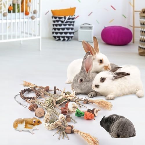 Bissap Bunny Chew Toy, Rabbit Cage Hanging Chewing Toy Treat Christmas Grapevine Wreaths Rattan Ring with Snack Water Grass for Guinea Pig Chinchilla Hamster Rat and Other Small Pet Teeth Grinding - style: Wheat & Vine