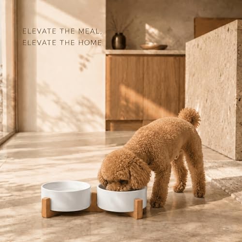 SPUNKYJUNKY Ceramic Dog and Cat Bowl with Wood Stand Non-Slip Matte Glaze Weighted Food Water Set for Cats &Small Dogs 13.5 OZ - color: White × 2, size: 1.7 cups