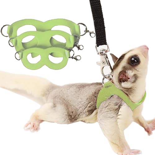 3 Pack Sugar Glider Harness and Leash Set Small Animal Training Walking Vest for Squirrel Hamster Rat-Green - color: Green
