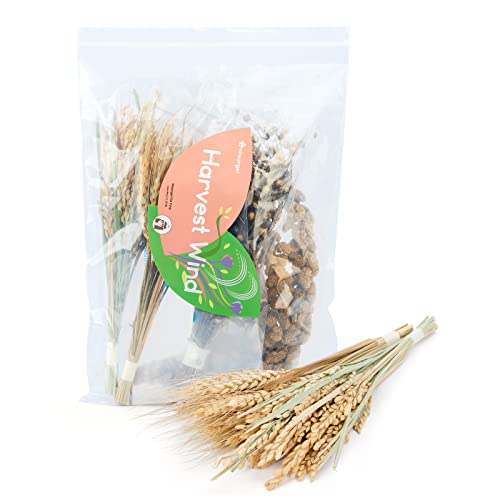 Niteangel Natural & Soft Hamster Bedding Mate Small Animal Habitat Decor for Syrian Dwarf Hamsters Gerbils Mice Degus Bunny or Other Small-Sized Pet - size: Harvest Version