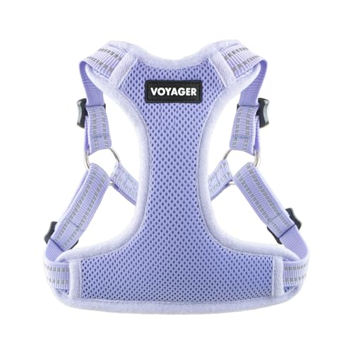 Voyager Step-in Flex Adjustable Dog Harness - Lavender, X-Small | 13 - 16" in Chest, Fully Adjustable, Reflective Bands, All Weather Breathable Air Mesh, Lightweight, Fast Drying - color: Harness (Lavender), size: XS