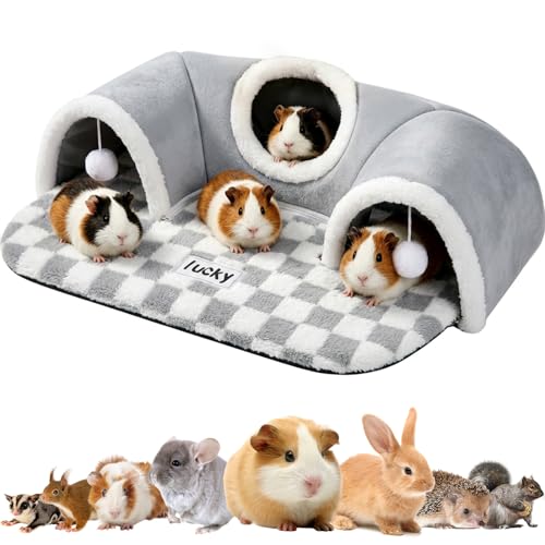 Extra Large Guinea Pig Hideout Tunnel, 22Lx16Wx5H Inches, Grey | Pet Tunnel for Dwarf Rabbits, Bunny, Chinchillas, Hamsters, Hedgehogs, Ferrets. Small Animal Tubes & Tunnels. Eay Assembly - color: Grey