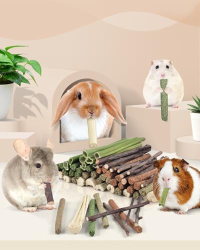 Bissap 54 PCS Rabbit Chew Sticks, Mix Natural Sweet Bamboo Timothy Hay Oat Carrot Chew Stick Apple Branch Bunny Chews for Rabbit Hamster Chinchilla Guinea Pig Small Pet Molar Treats - size: 0.3 Ounce (Pack of 54)