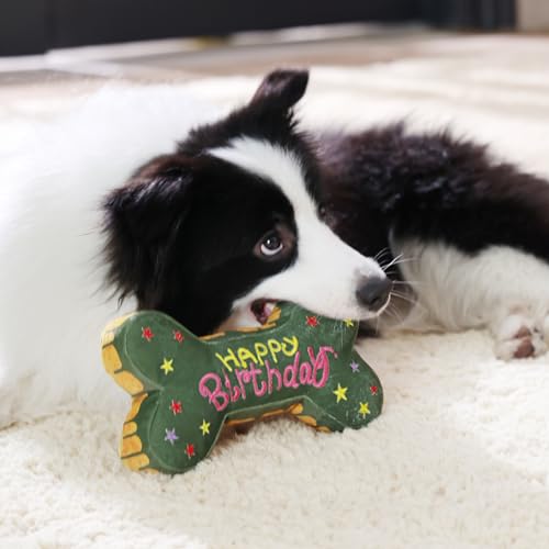 Tamu style Dog Birthday Toy Gift, 10-Inch Squeaky Bone Cake Plush, Green - color: Green