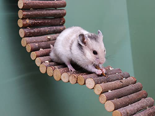 Rat Ladder Bridge, Wooden Hamster Climbing Ladder Toy, Small Animals Cage Accessories for Bird Parrot Hamster Mouse Rat Sugar Glider Hermit Crab Sugar Glider Chinchilla(23.62x3.14 Inches) - color: Apple Wood