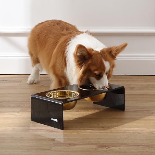 DBL2000B Keaton 5" Small/Medium Modern Lucite Rectangular Elevated Pet Feeder with 20oz 2-Stainless Steel Bowls, Black/Gold - color: Black/Gold, size: 20 Ounces (5" Cups 2-Pack)