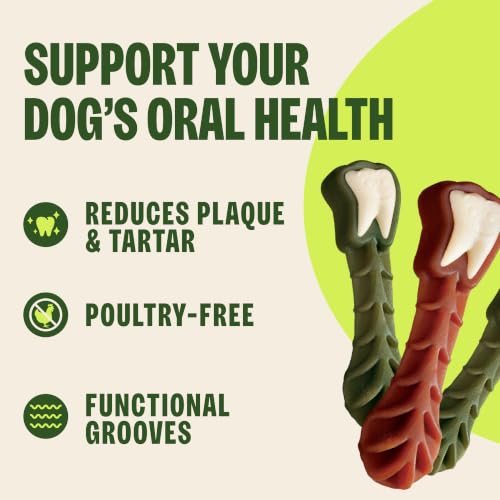 Whimzees Wellness Brushzees Natural Dog Dental Treat, VOHC Accepted Chews, Freshens Breath, Extra-Small Size, 12.7 oz Bag, 48 Count - size: 48 Count (Pack of 1)