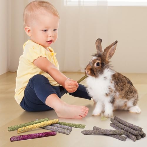52Pcs Rabbit Chew Sticks, Guinea Pig Toys, Natural Timothy Teeth Stick | Rabbit Bunny Chew Sticks Toys for Teeth Mixing Flowers, Roses, Calendula and Forget Me Not, Small Animals Treats - size: 52Pack-Sticks