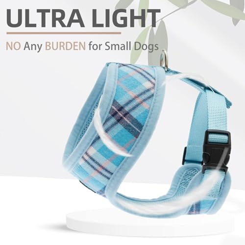 PUPTECK Soft Mesh Dog Harness and Leash Set Pet Puppy Cat Comfort Padded Vest No Pull Harnesses, Light Blue, S - color: Blue, size: S (NECK: 12", CHEST: 14"-18")