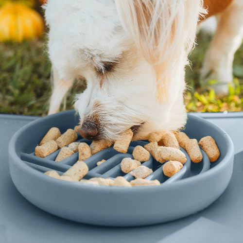 Slow Feeder Dog Bowls - Small Size Silicone Slow Eating Dog Bowl for Puppies & Dogs with Suction Cup -Dishwasher-Safe, Lick Mat Design, Reduces Gulping, for All Breeds, 6”x1.25”- Ocean - color: Ocean - Rainbow Design, size: Small (6” Across x 1.25” Tall)