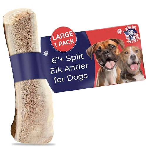 Devil Dog Pet Co Split Elk Antlers for Dogs, Large, Long Lasting | Naturally shed Grade A elk antler split for marrow access, single ingredient, 7/10 hardness, 6 in+, fits breeds up to 60 lb - style: split - Large - 1 Pack