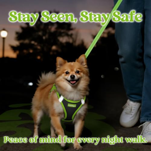 rabbitgoo Dog Harness Small Sized and Leash Set, Step in Soft Vest | Breathable Mesh, Easy Wear with Hook & Loop, Light and Reflective for Walking, Multi-colored, Black & Green, XS - color: Black & Green, size: XS (Chest: 13.3"-15.5")
