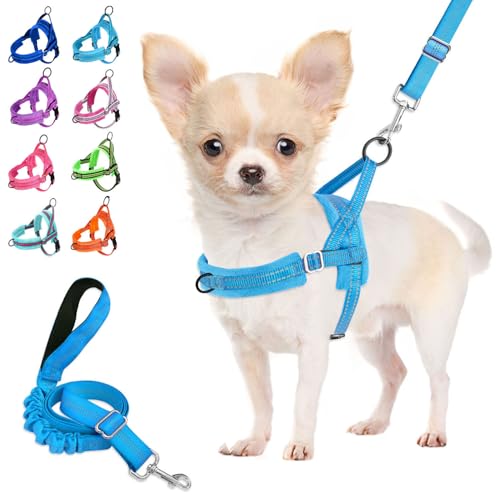 Lukovee Small Dog Harness and Leash Set, No Pull Soft Padded Vest | Both Neck & Chest Adjustable, Reflective, Puppy Harness with 4ft Lightweight Anti-Twist Dog Leash for Small Dogs (LBL, XXS) - color: Light Blue, size: XXS ( Chest 11.5'' ~ 15'')