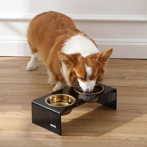 DBL2000B Keaton 5" Small/Medium Modern Lucite Rectangular Elevated Pet Feeder with 20oz 2-Stainless Steel Bowls, Black/Gold - color: Black/Gold, size: 20 Ounces (5" Cups 2-Pack)