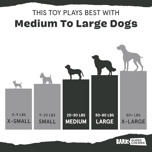 BarkBox Hare Raiser Super Chewer - 2-in-1 - Toy for Medium to Large Dogs | Durable Dog Toy for Aggressive Chewers - Plush - color: Hare - Large