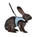 MANON ROSA Rabbit Harness and Leash Set - Adjustable Escape-Proof Training and Walking Gear for Guinea Pigs Bunnies Chinchillas Hamsters Ferrets Rats Kittens and Small Dogs Puppies Cats (Blue,XL) - color: Blue, size: XL