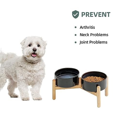 Havniva Elevated Dog Bowls Ceramic Dog Bowls with Stand, Dog Food Bowl | 6.1” Raised Dog Bowls with Non-Slip Wood Stand, Dog Food and Water Bowl Set, Double Dog Feeding Bowls for Small & Medium Dogs - color: 2 Bowls+Stand - Starry Sky, size: 6.1inch